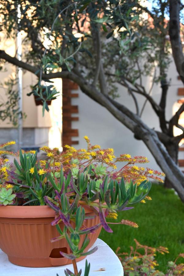 Greenvine Apartment Zadar Ngoại thất bức ảnh