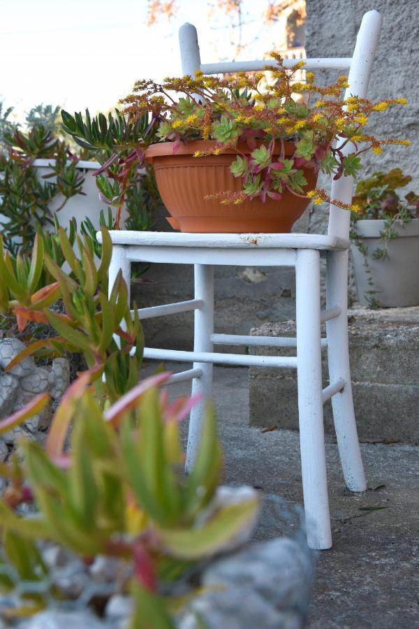 Greenvine Apartment Zadar Ngoại thất bức ảnh