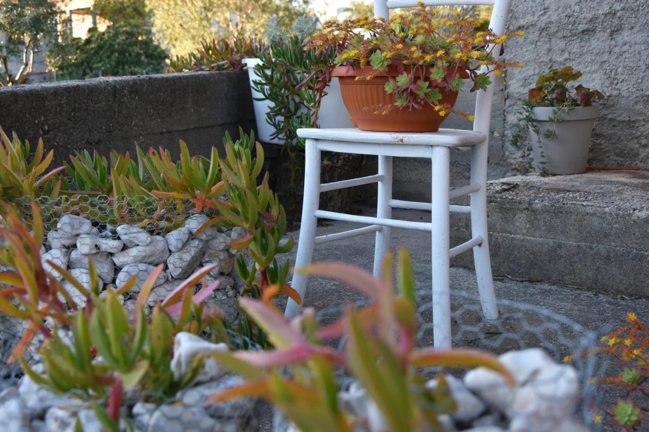 Greenvine Apartment Zadar Ngoại thất bức ảnh