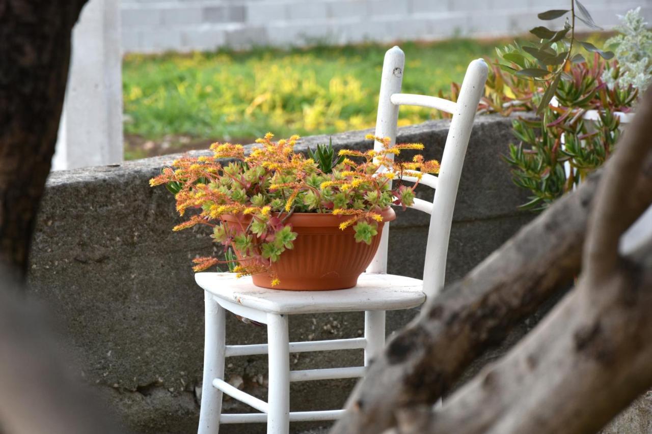 Greenvine Apartment Zadar Ngoại thất bức ảnh